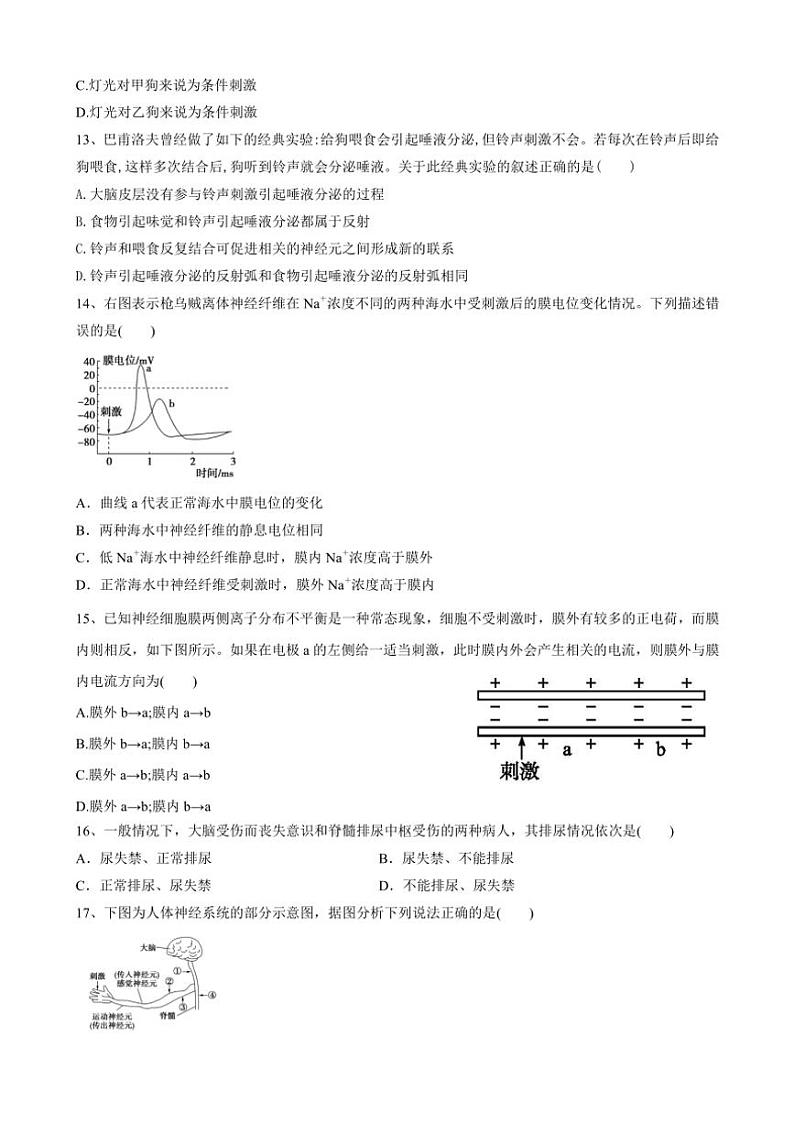 2024～2025学年甘肃省兰州市西北师范大学附属中学高二(上)11月月考生物试卷(含答案)第3页