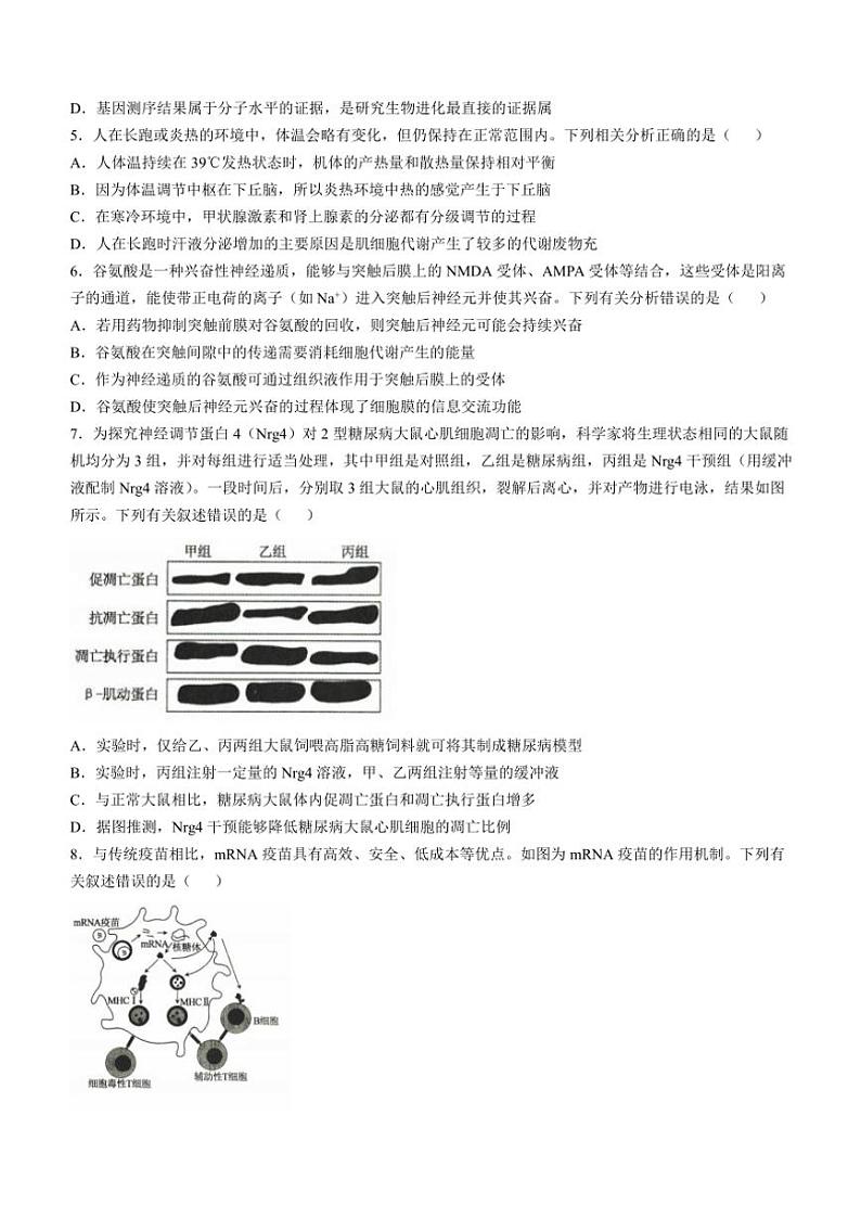 2024～2025学年河北省十县联考高三(上)期中生物试卷(含解析)02