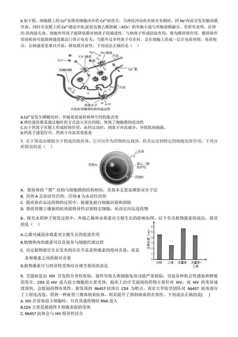 2024～2025学年湖南省娄底市新化县第二中学高三(上)11月高考模拟生物试卷(含解析)第2页