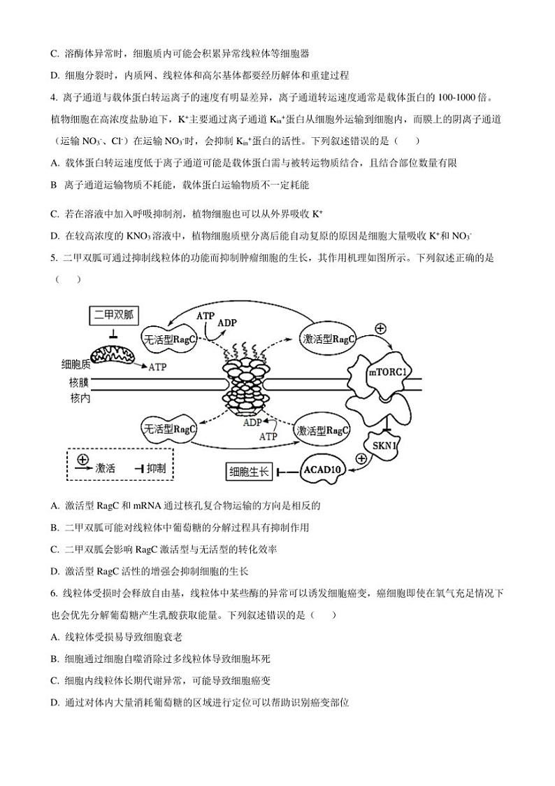 2024～2025学年山东省聊城市高三(上)期中生物试卷(含答案)第2页