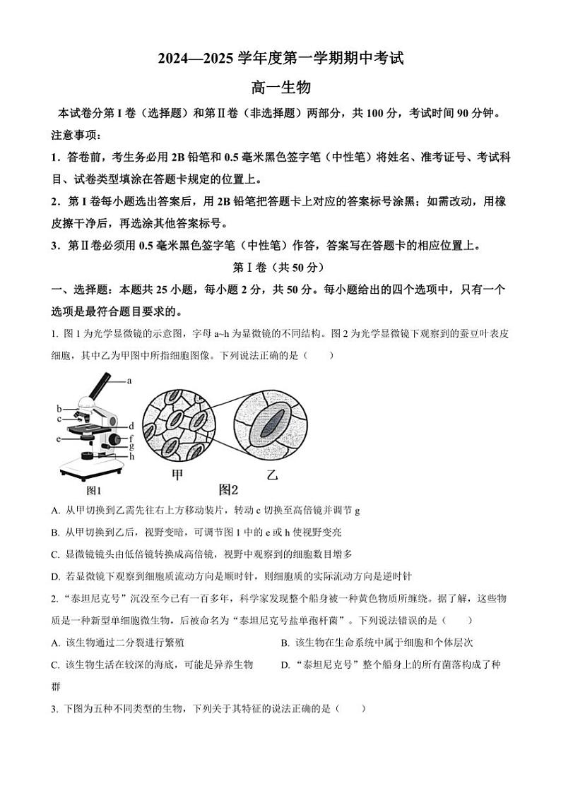 2024～2025学年山东省青岛市黄岛区高一(上)期中生物试卷(含答案)第1页