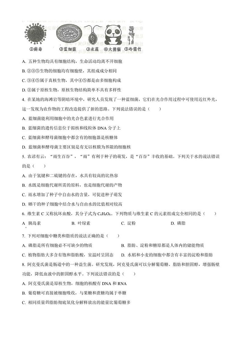 2024～2025学年山东省青岛市黄岛区高一(上)期中生物试卷(含答案)第2页