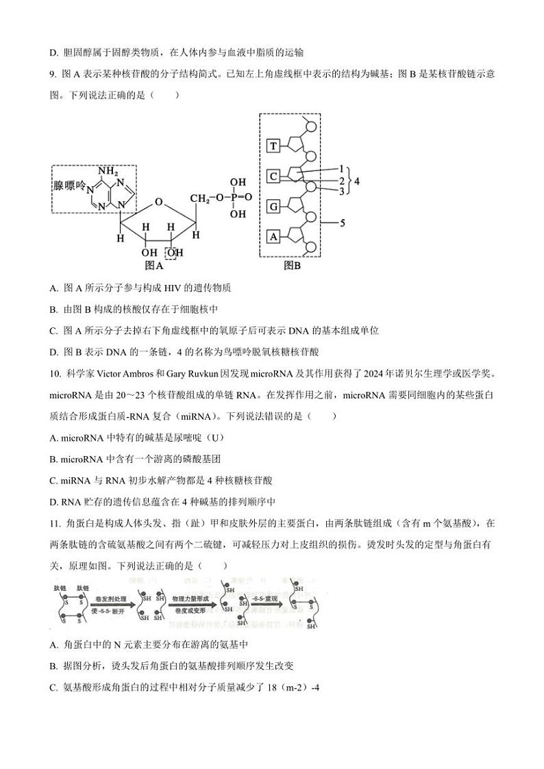 2024～2025学年山东省青岛市黄岛区高一(上)期中生物试卷(含答案)第3页