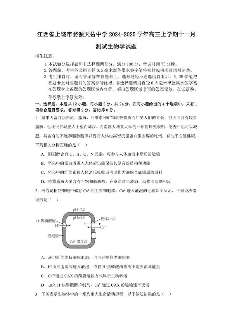2024～2025学年江西省上饶市婺源天佑中学高三(上)十一月测试生物试卷(含答案)第1页