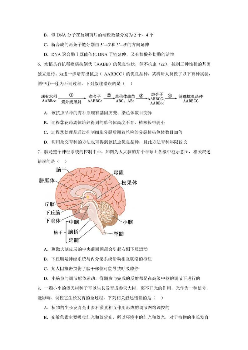 2024～2025学年江西省上饶市婺源天佑中学高三(上)十一月测试生物试卷(含答案)第3页