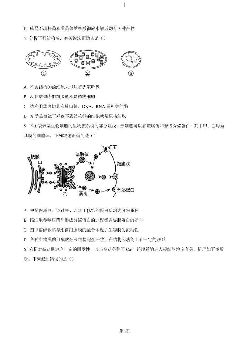 2024～2025学年山西省吕梁市高三(上)期中生物试卷(含答案)第2页