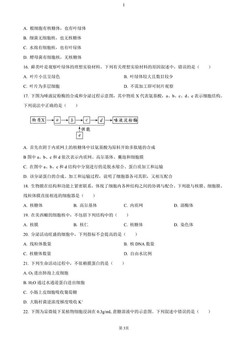 2024～2025学年四川省绵阳市高一(上)期中生物试卷(含答案)第3页