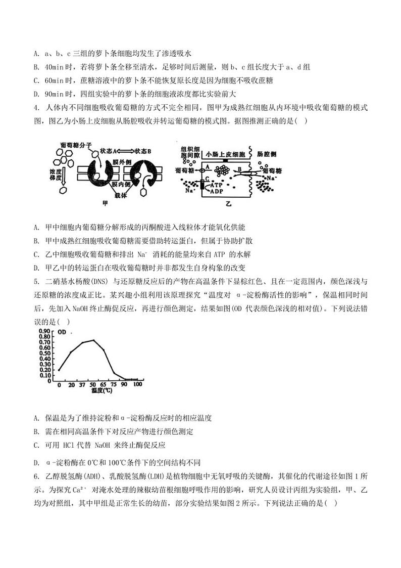 2024～2025学年江苏省泰安市高三(上)期中生物试卷(含答案)第2页