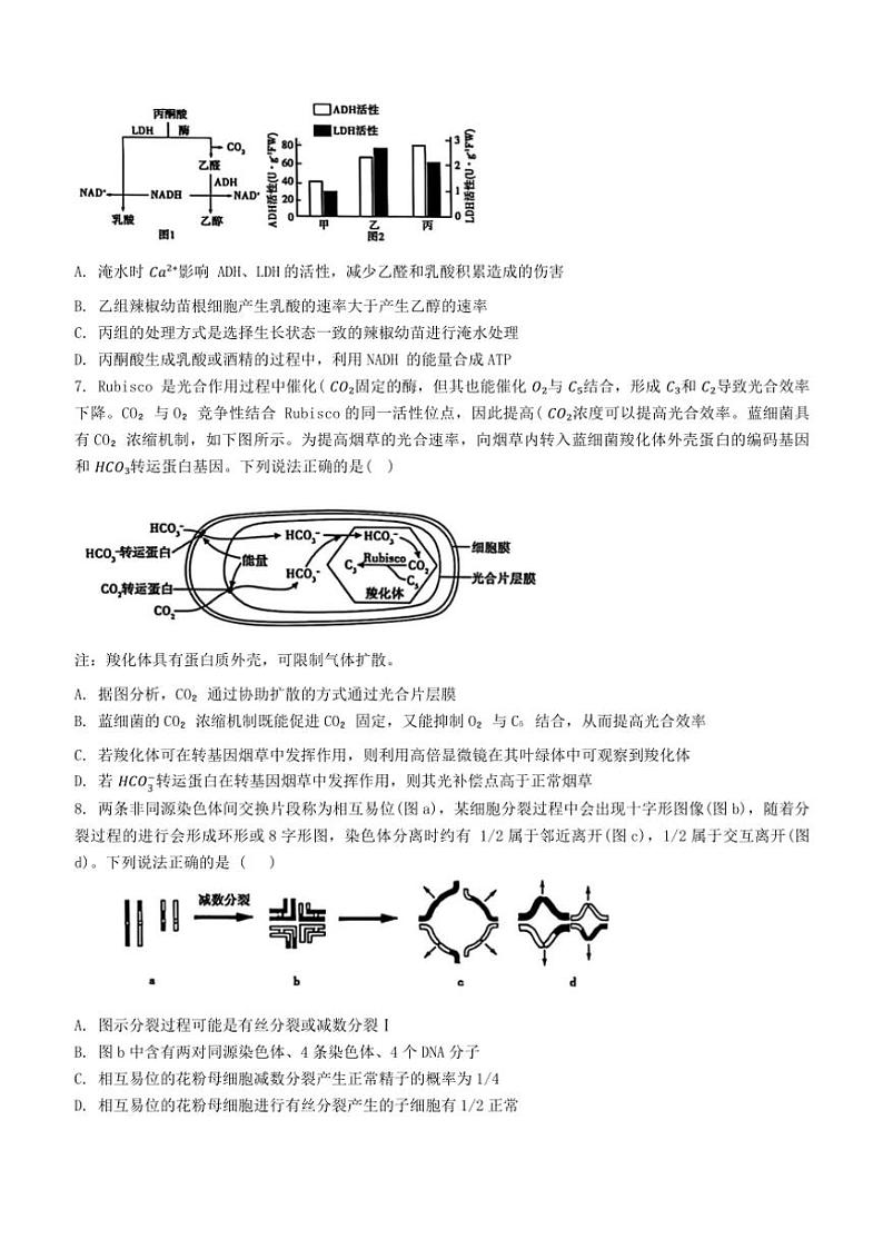 2024～2025学年江苏省泰安市高三(上)期中生物试卷(含答案)第3页