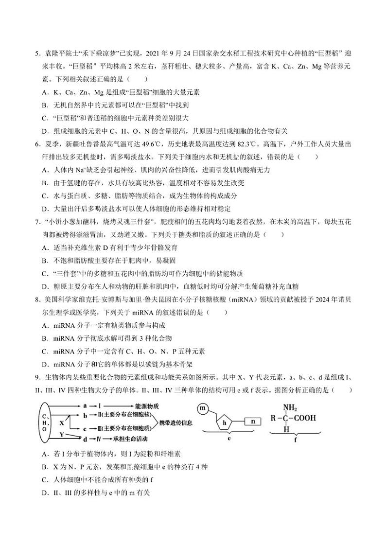 2024～2025学年山东省济宁市任城区济宁市第一中学高一(上)期中生物试卷(含答案)第2页
