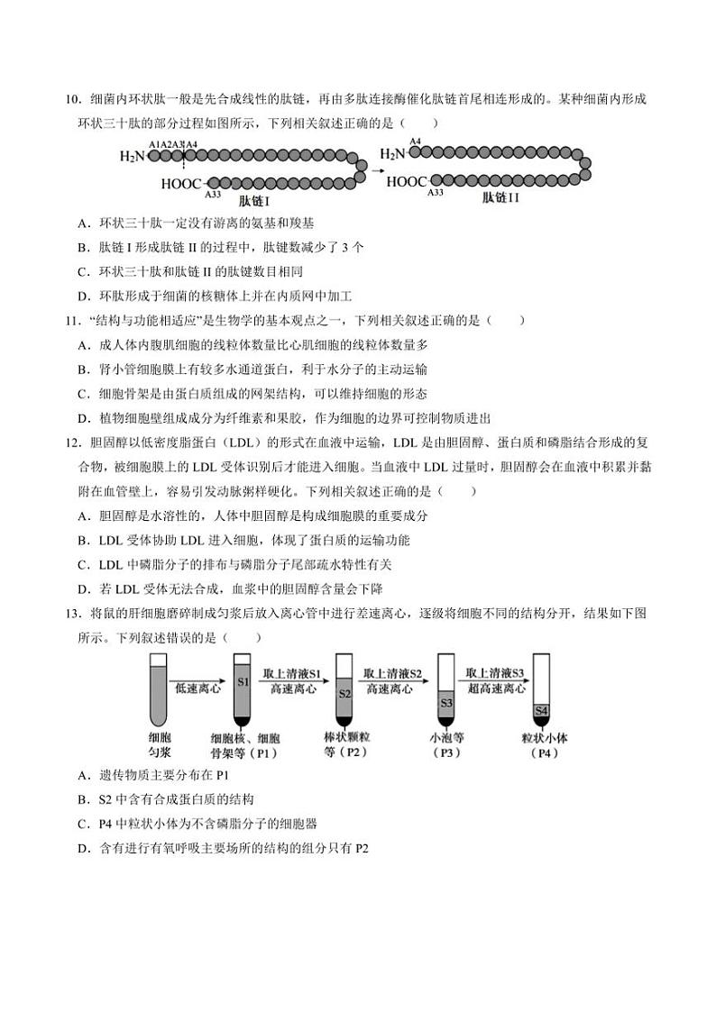 2024～2025学年山东省济宁市任城区济宁市第一中学高一(上)期中生物试卷(含答案)第3页