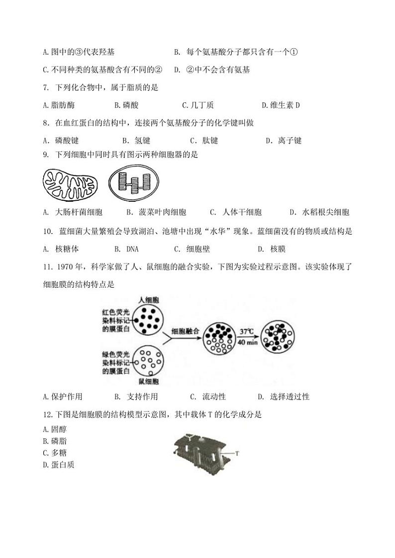 2024～2025学年江苏省无锡市江阴市某校高二(上)10月必修合格性考试生物试卷(含答案)第2页