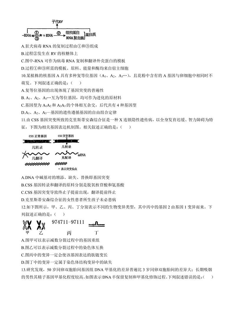 2024～2025学年天津市滨海新区大港第一中学高三(上)期中生物试卷(含答案)03