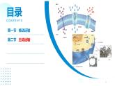 2024-2025人教版(2019)生物必修1《分子与细胞》课件PPT4细胞的物质输入和输出-4.2主动运输