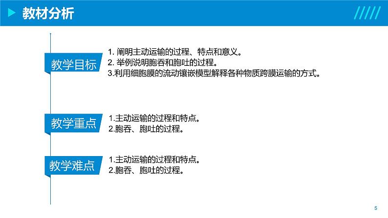 2024-2025人教版(2019)生物必修1《分子与细胞》课件PPT4细胞的物质输入和输出-4.2主动运输第5页