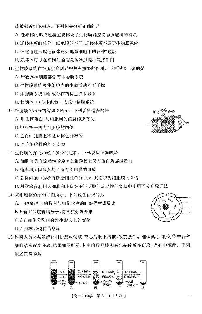高一生物学试卷第3页