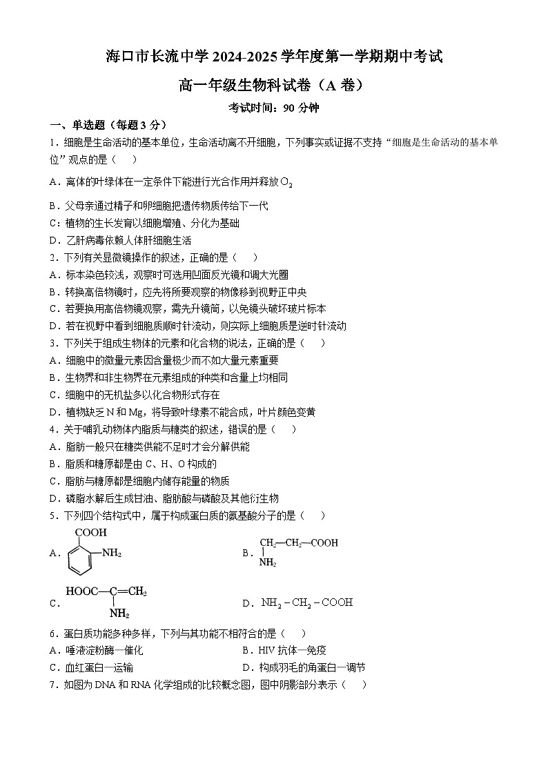 海南省海口市长流中学2024--2025年高一上学期期中考试生物真题第1页