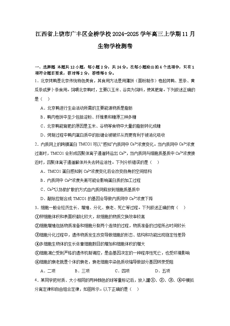 江西省上饶市广丰区金桥学校2024-2025学年高三上学期11月考试生物试题第1页