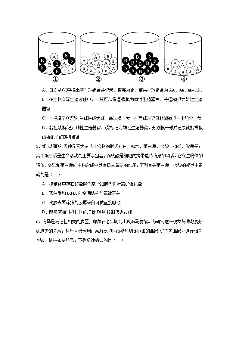 江西省上饶市广丰区金桥学校2024-2025学年高三上学期11月考试生物试题第2页