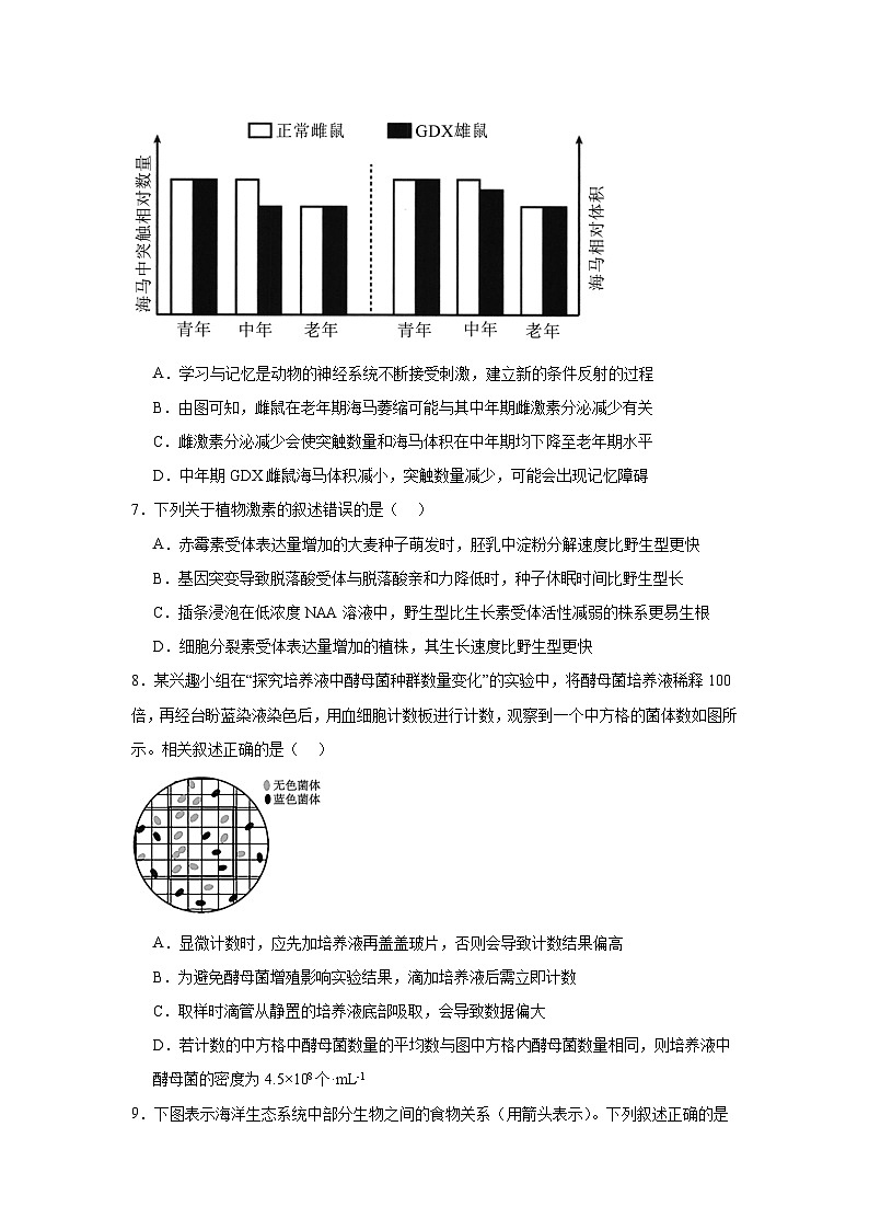 江西省上饶市广丰区金桥学校2024-2025学年高三上学期11月考试生物试题第3页