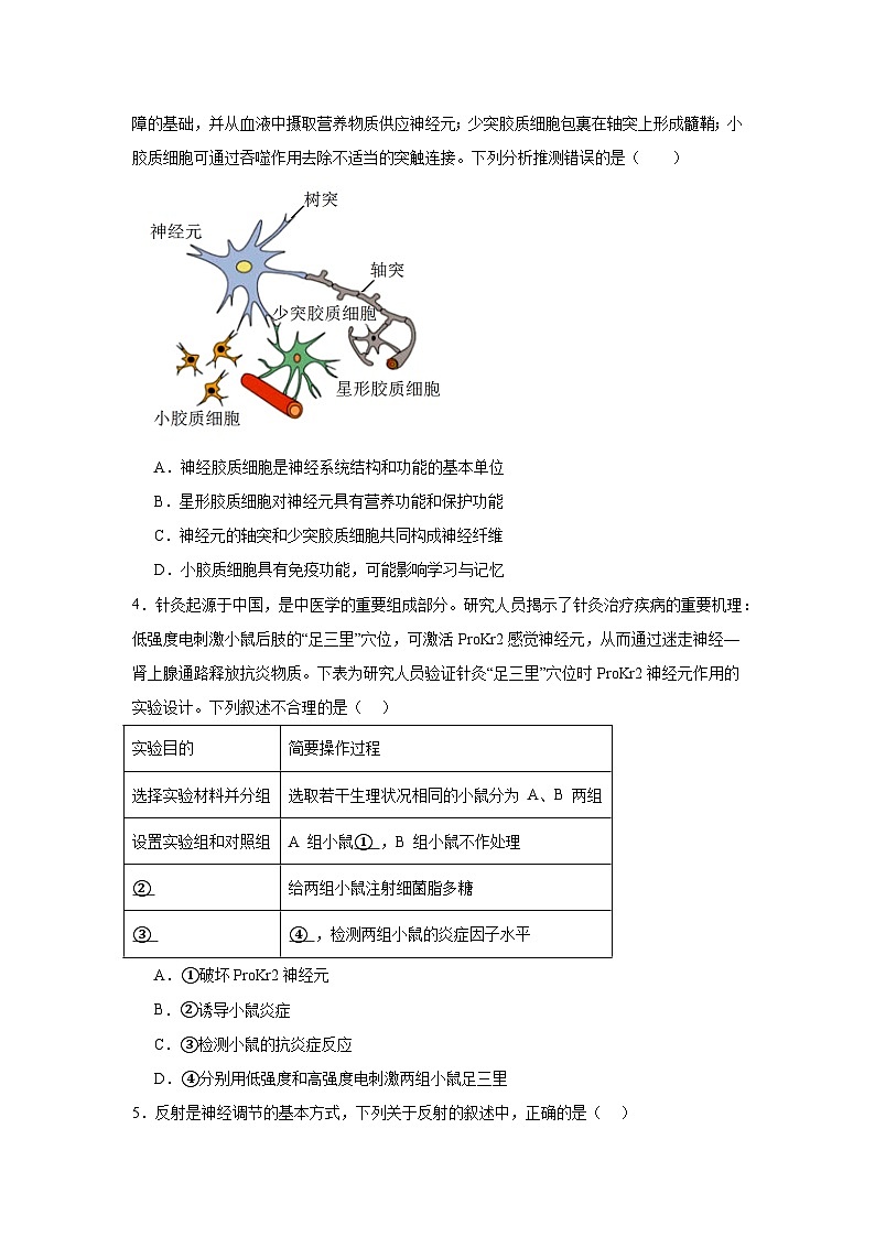 江西省上饶市广丰区金桥学校2024-2025学年高二上学期11月考试生物试题第2页