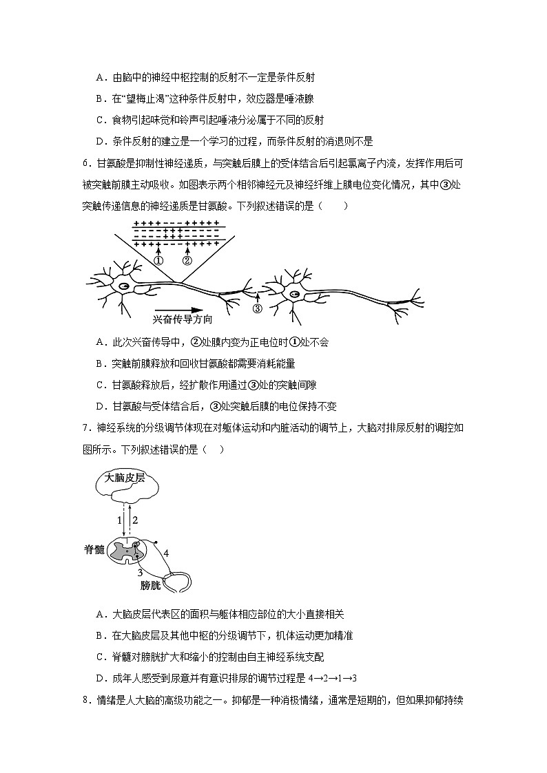 江西省上饶市广丰区金桥学校2024-2025学年高二上学期11月考试生物试题第3页