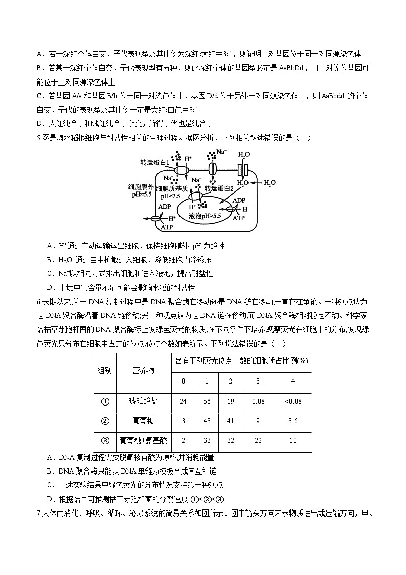 甘肃省天水市秦州区天水市第一中学2024-2025学年高三上学期11月月考生物试题第2页