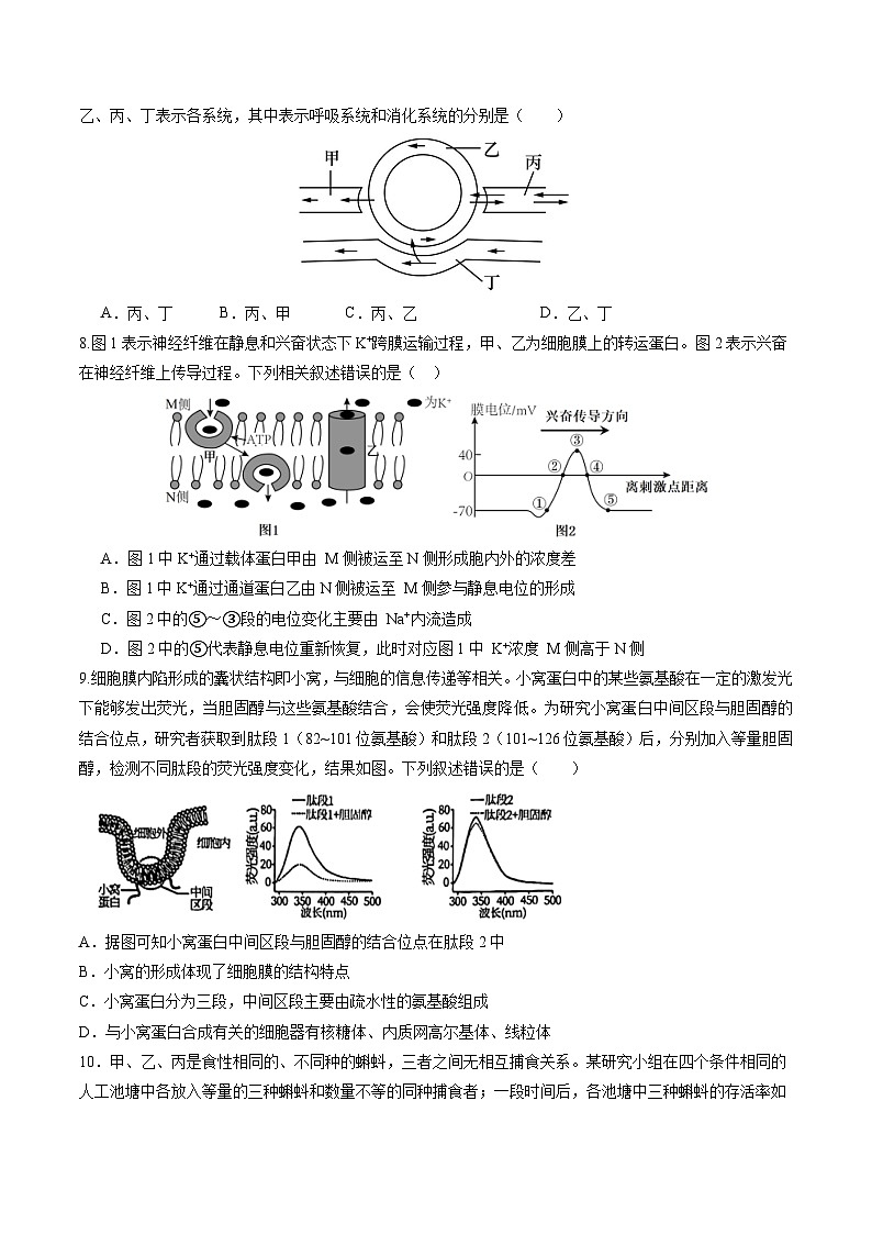甘肃省天水市秦州区天水市第一中学2024-2025学年高三上学期11月月考生物试题第3页