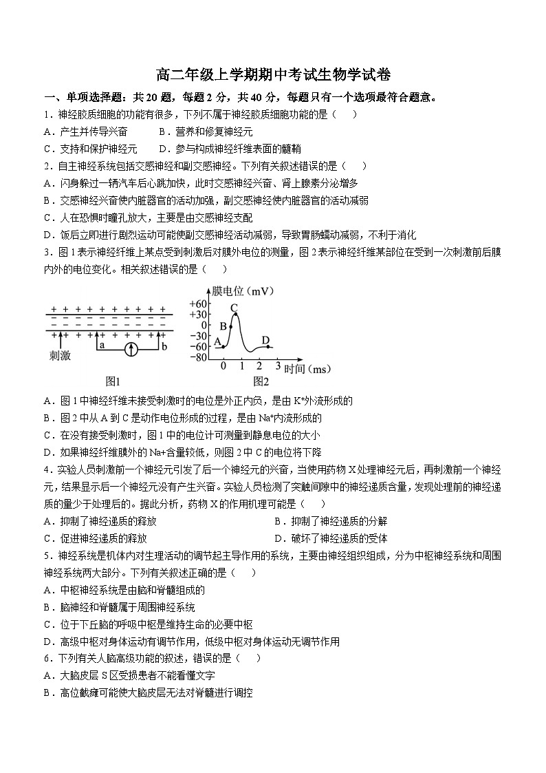 江苏省连云港市灌云县灌云县第一中学2024-2025学年高二上学期11月期中生物试题(无答案)第1页