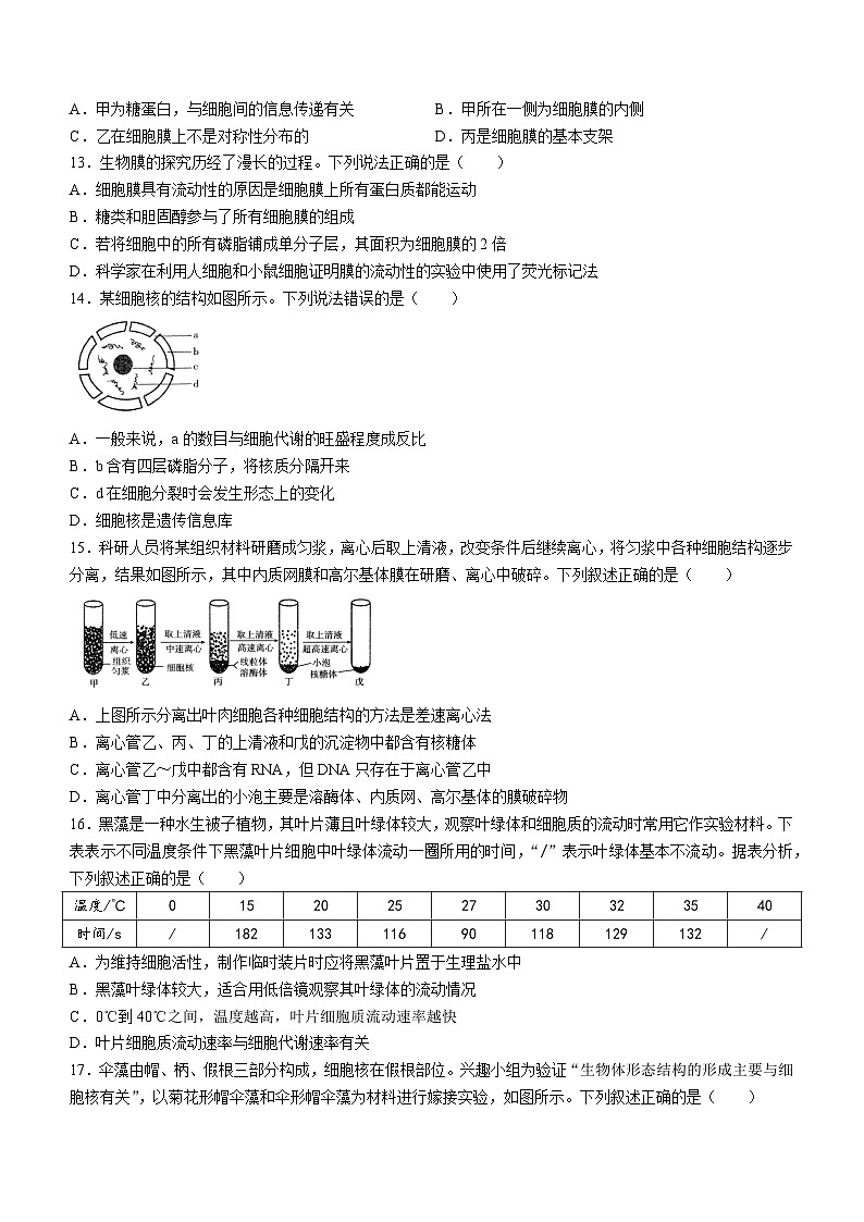 广东省名校联盟2024-2025学年高一上学期期中联考生物试题第3页