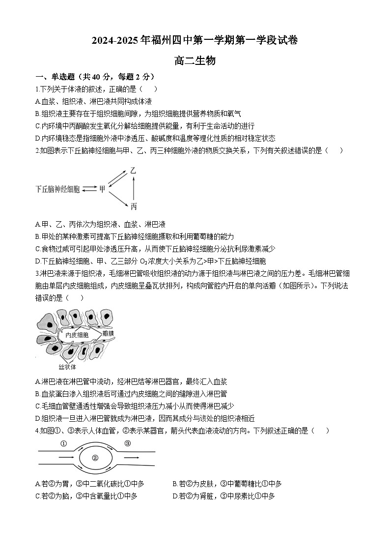 福建省福州第四中学2024-2025学年高二上学期期中生物试题第1页