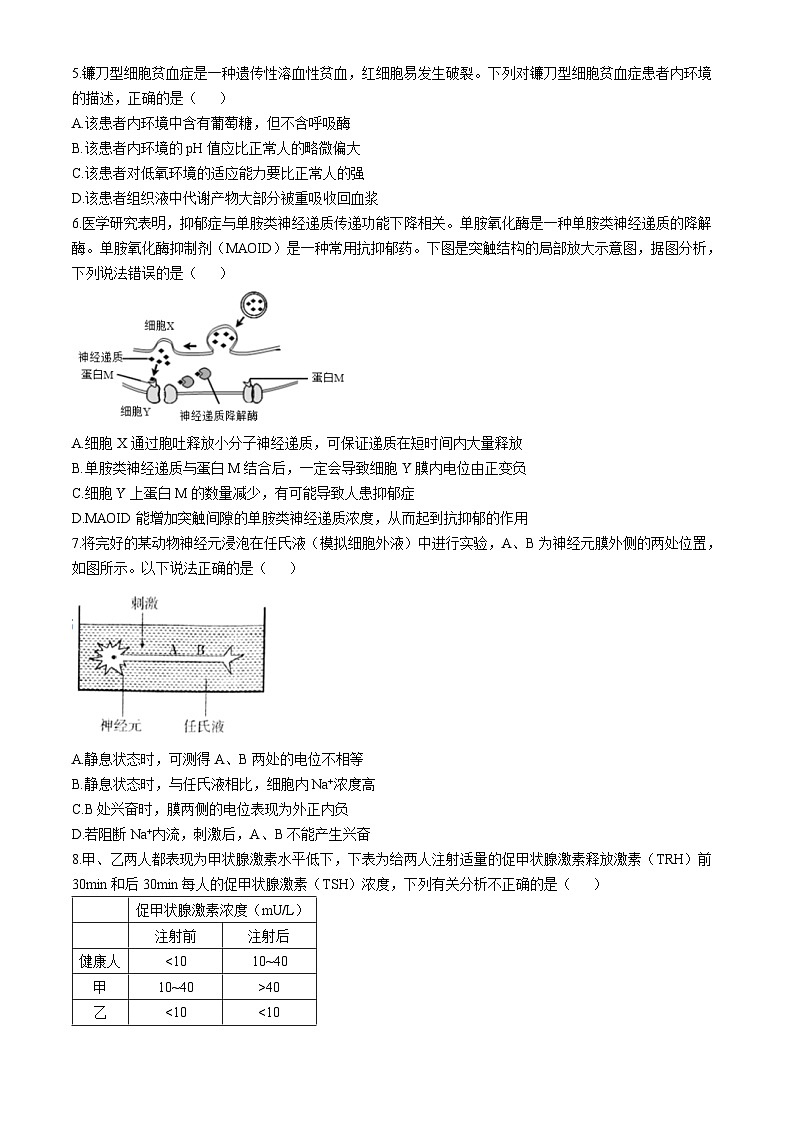 福建省福州第四中学2024-2025学年高二上学期期中生物试题第2页