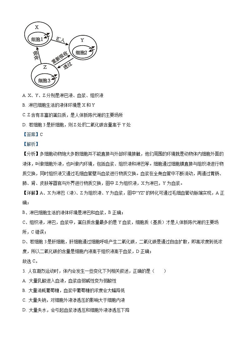 江苏省苏州市2024-2025学年高二上学期11月期中生物试题含解析第2页