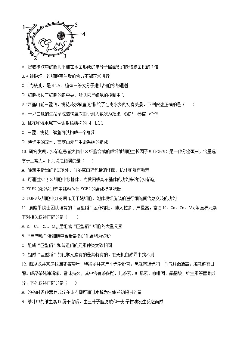 广东省清远市九校联考2024-2025学年高一上学期11月期中生物试题无答案第3页