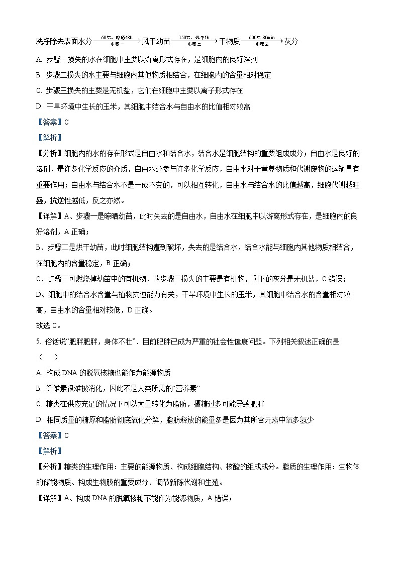 广东省清远市九校联考2024-2025学年高一上学期11月期中生物试题含解析第3页