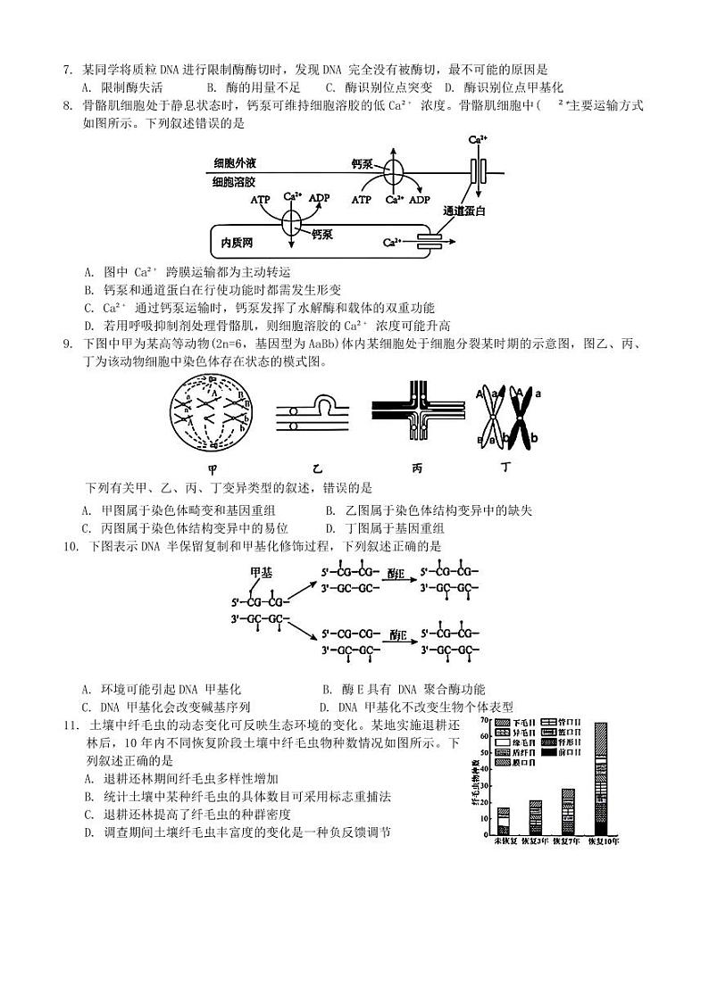 浙江省9+1高中联盟2025届高三上学期11月期中考试生物+答案第2页