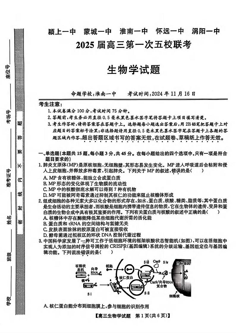 生物丨安徽省（颍上一中、蒙城一中、淮南一中、怀远一中、涡阳一中）五校联考2025届高三上学期11月期中考试生物试卷及答案第1页