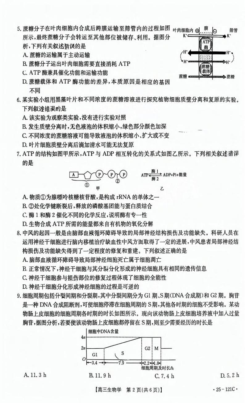 生物丨福建省漳州宁德龙岩三市百校联考2025届高三上学期11月联考生物试卷及答案第2页