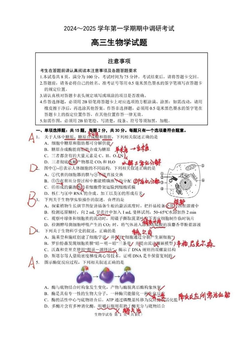 生物丨江苏省连云港市2025届高三上学期11月期中调研考试生物试卷及答案第1页