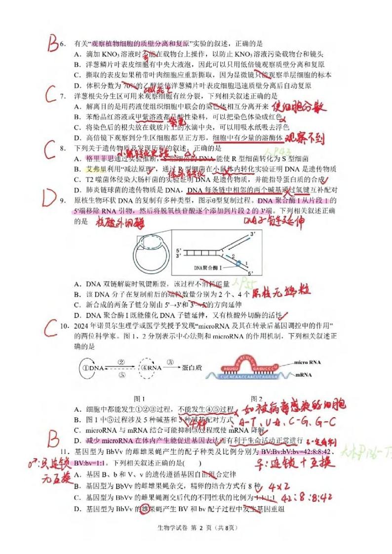 生物丨江苏省连云港市2025届高三上学期11月期中调研考试生物试卷及答案第2页