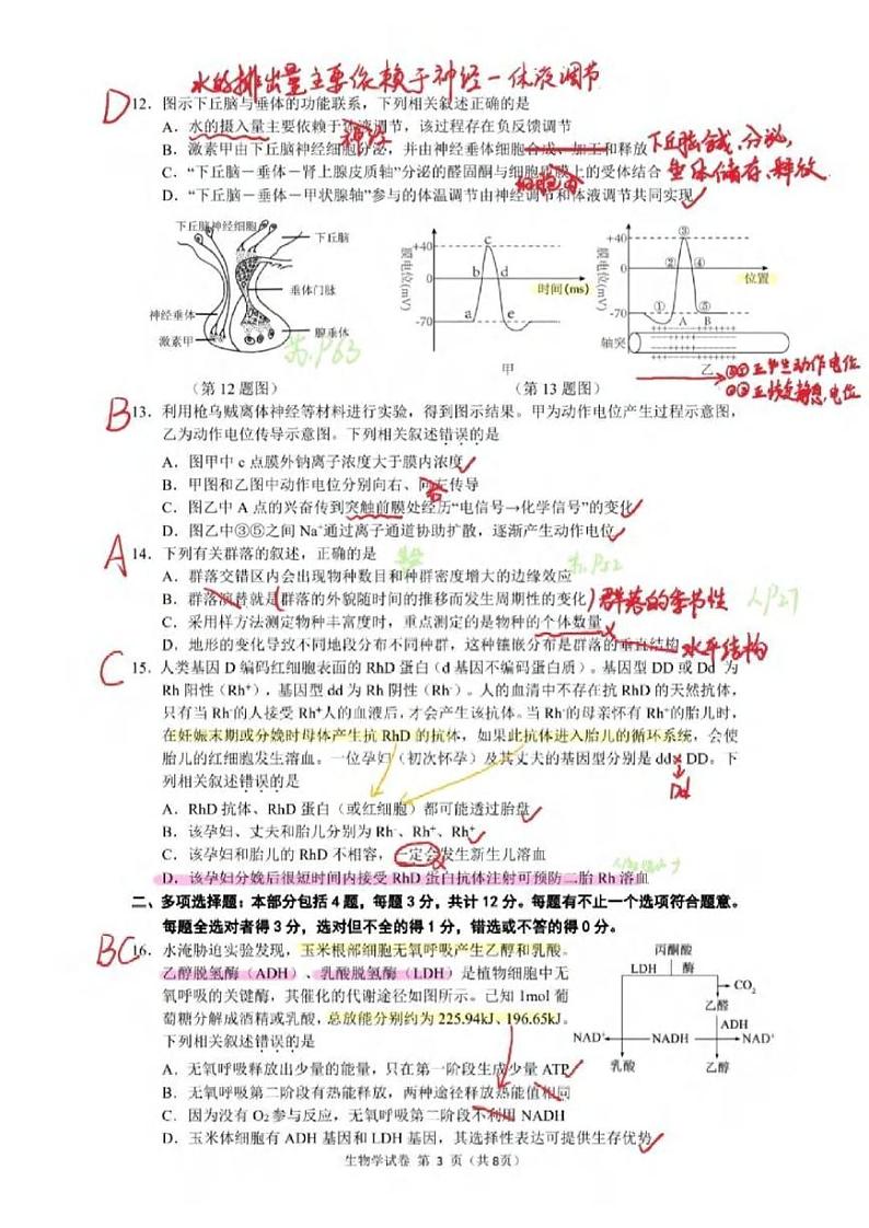 生物丨江苏省连云港市2025届高三上学期11月期中调研考试生物试卷及答案第3页