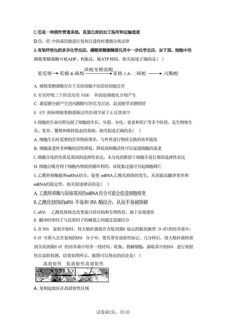 生物丨江苏省南京一中、金陵中学、南通海安中学2025届高三上学期11月期中考联考生物试卷及答案第2页