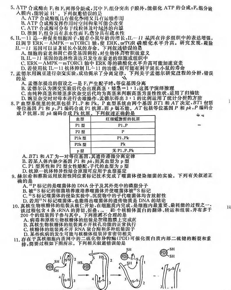 生物丨金太阳百校联考福建省2025届高三上学期11月测评生物试卷及答案02
