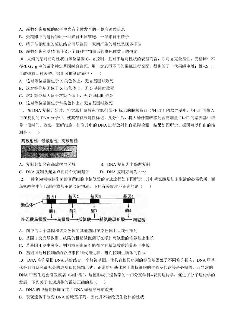 生物丨辽宁省七校协作体2025届高三上学期11月期中联考生物试卷及答案第3页