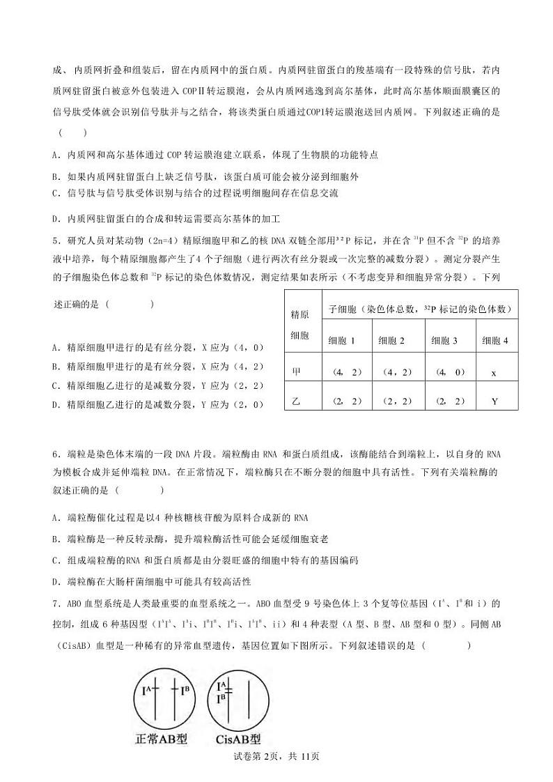 生物丨辽宁省实验中学2025届高三上学期11月期中阶段测试生物试卷及答案第2页