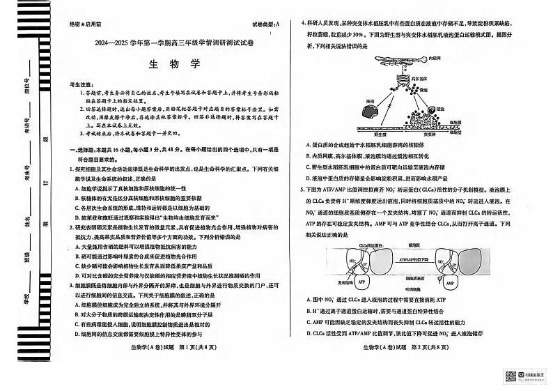 生物丨天一大联考山西省2025届高三上学期11月学情调研测试暨期中考试生物试卷及答案01