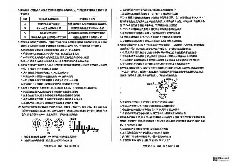 生物丨天一大联考山西省2025届高三上学期11月学情调研测试暨期中考试生物试卷及答案02