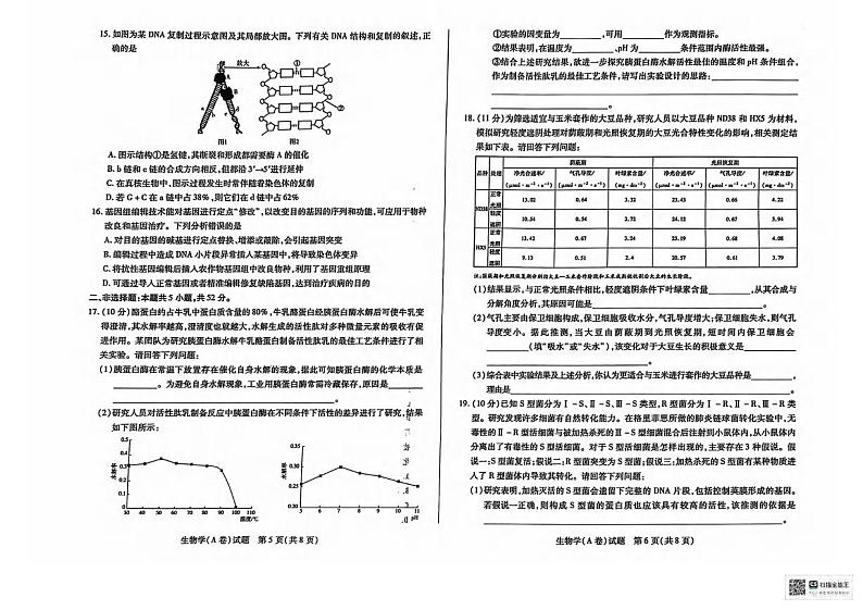 生物丨天一大联考山西省2025届高三上学期11月学情调研测试暨期中考试生物试卷及答案03