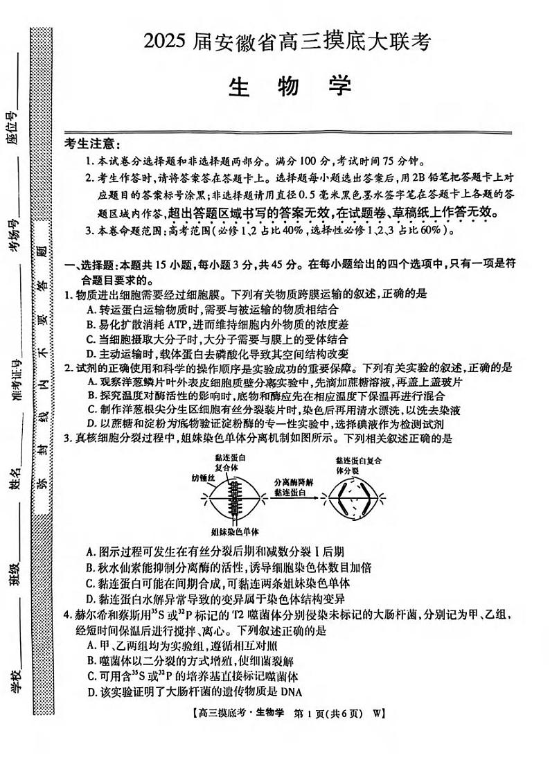 生物丨皖江名校联盟安徽省2025届高三上学期11月摸底大联考生物试卷及答案第1页