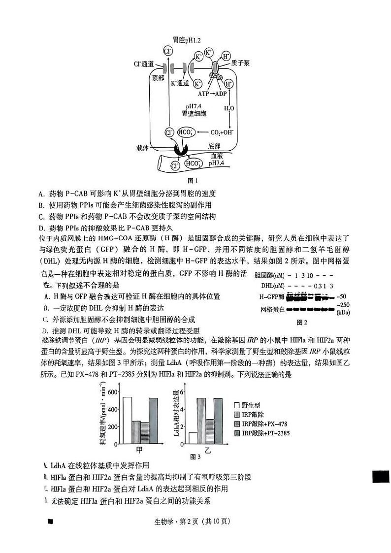 生物丨重庆市巴蜀中学2025届高三上学期11月高考适应性月考卷（三）生物试卷及答案第2页